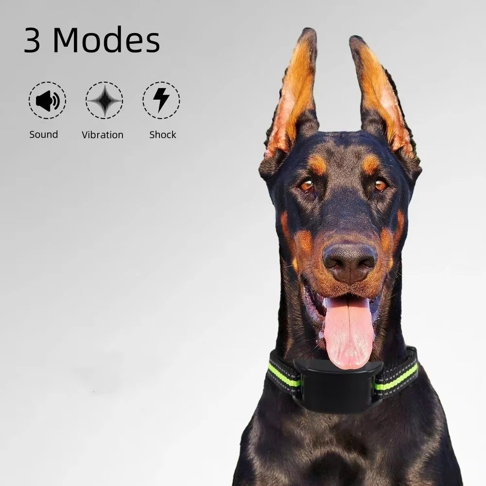 Dog Collar Trainer