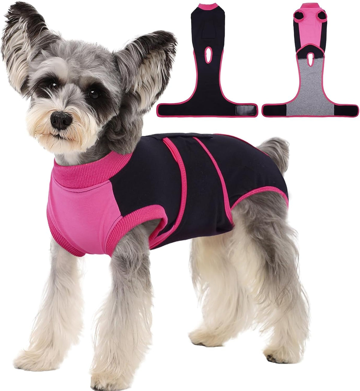 Female Dog Recovery Suit — Post-Spay & Surgery Coverage, Soft & Breathable (XS–2XL)