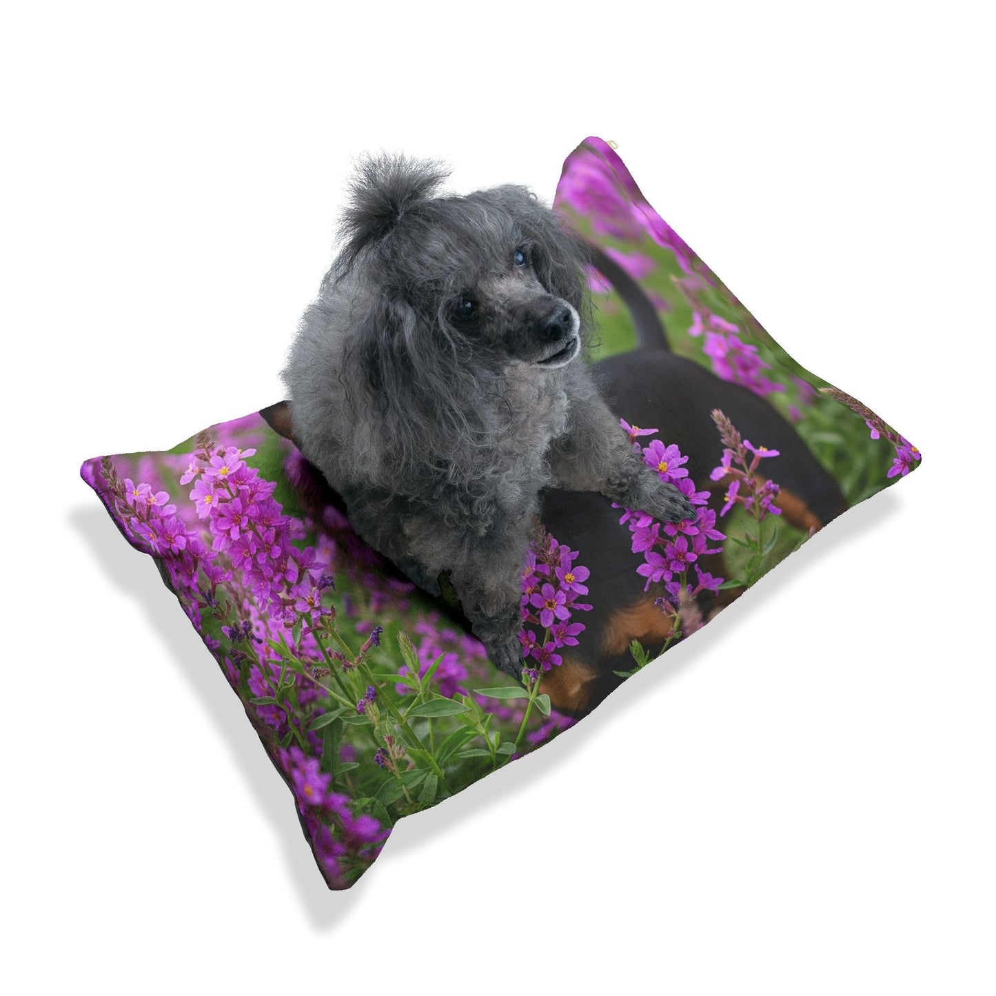 Plush Dog Bed
