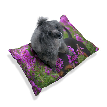 Plush Dog Bed