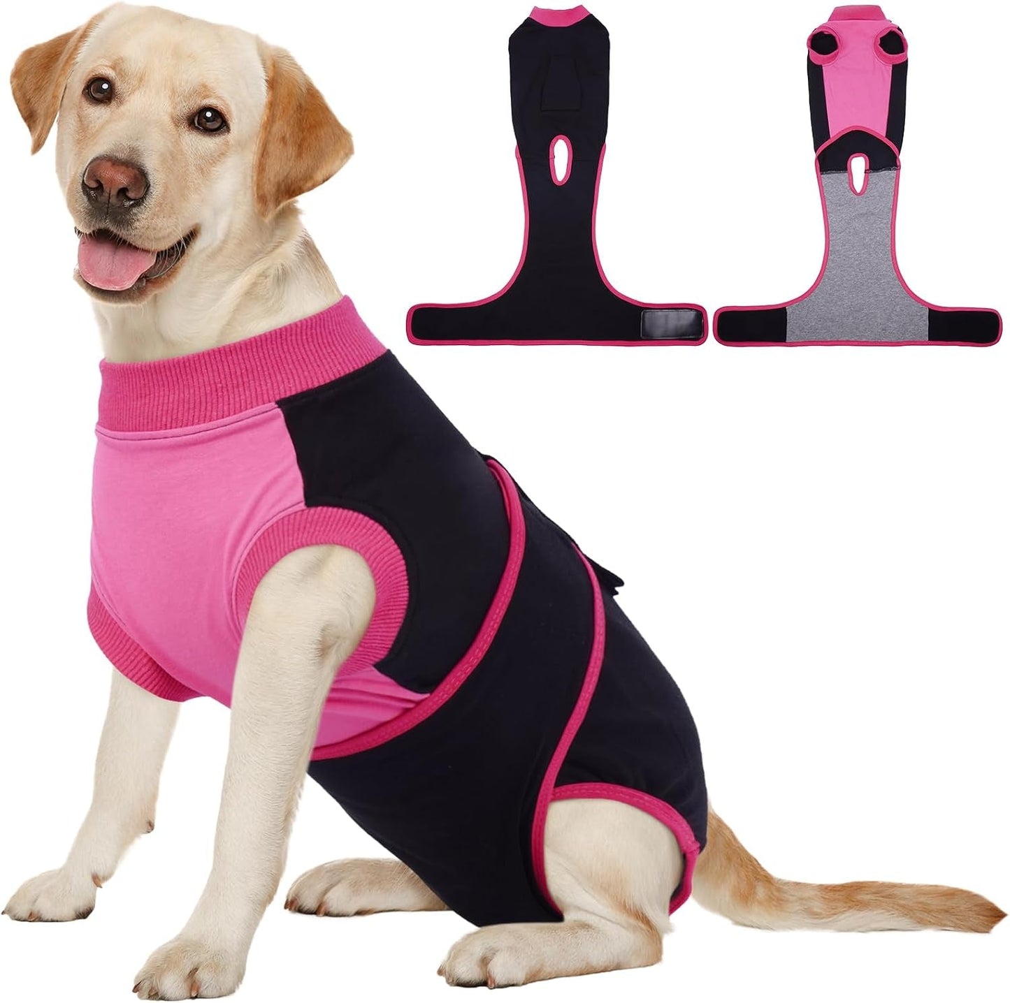 Female Dog Recovery Suit — Post-Spay & Surgery Coverage, Soft & Breathable (XS–2XL)