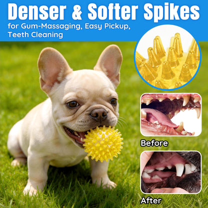 Squeaky Dog Balls