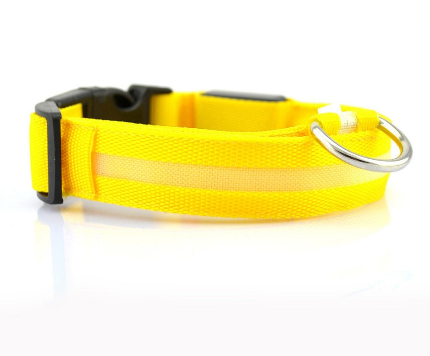 Glow in Dark Dog/Cat Leash