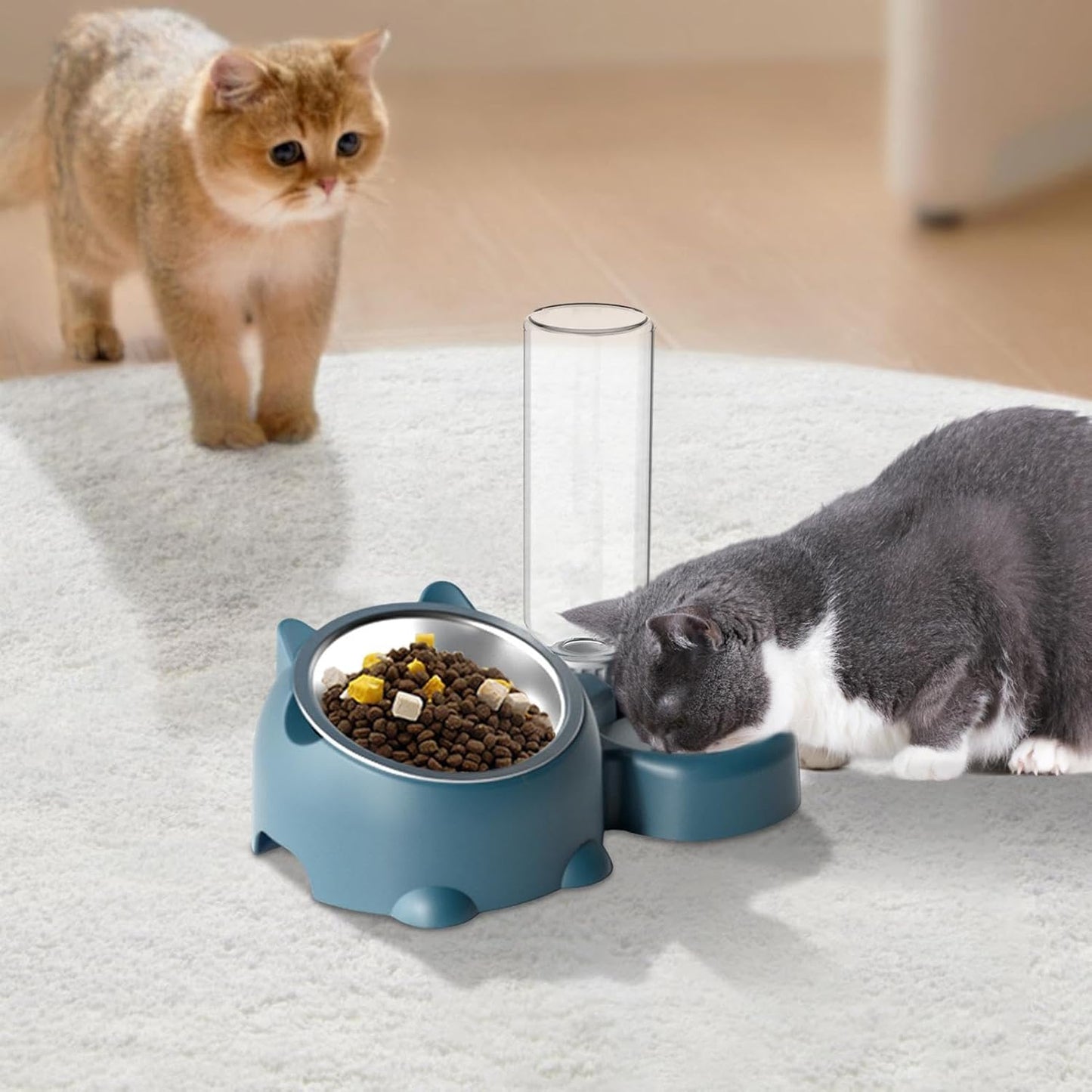 Food And Water Bowl Set