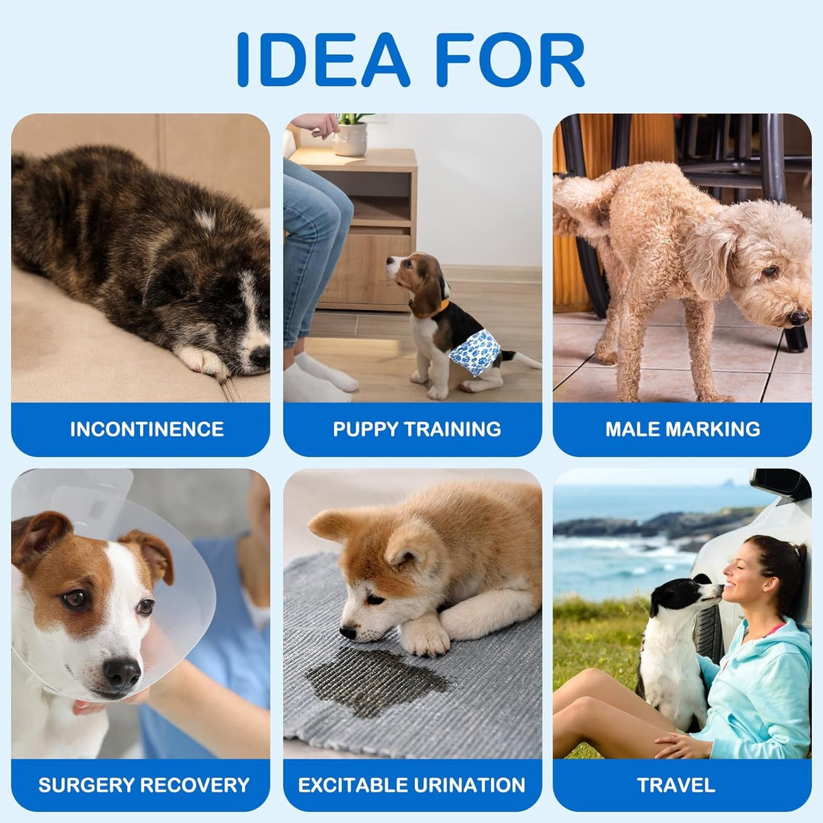 Male Dog Diapers