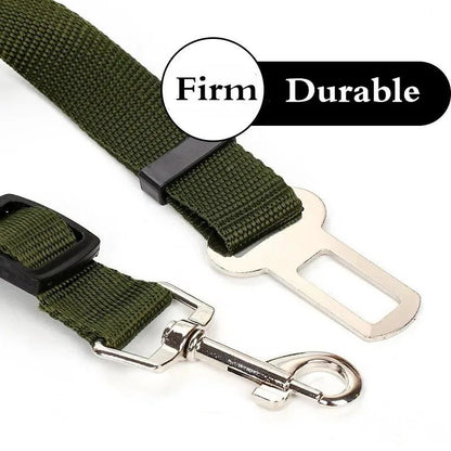 Seat Belt Harness