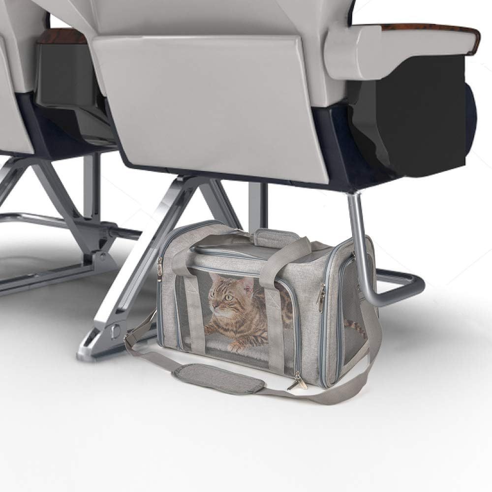 Pet Carrier