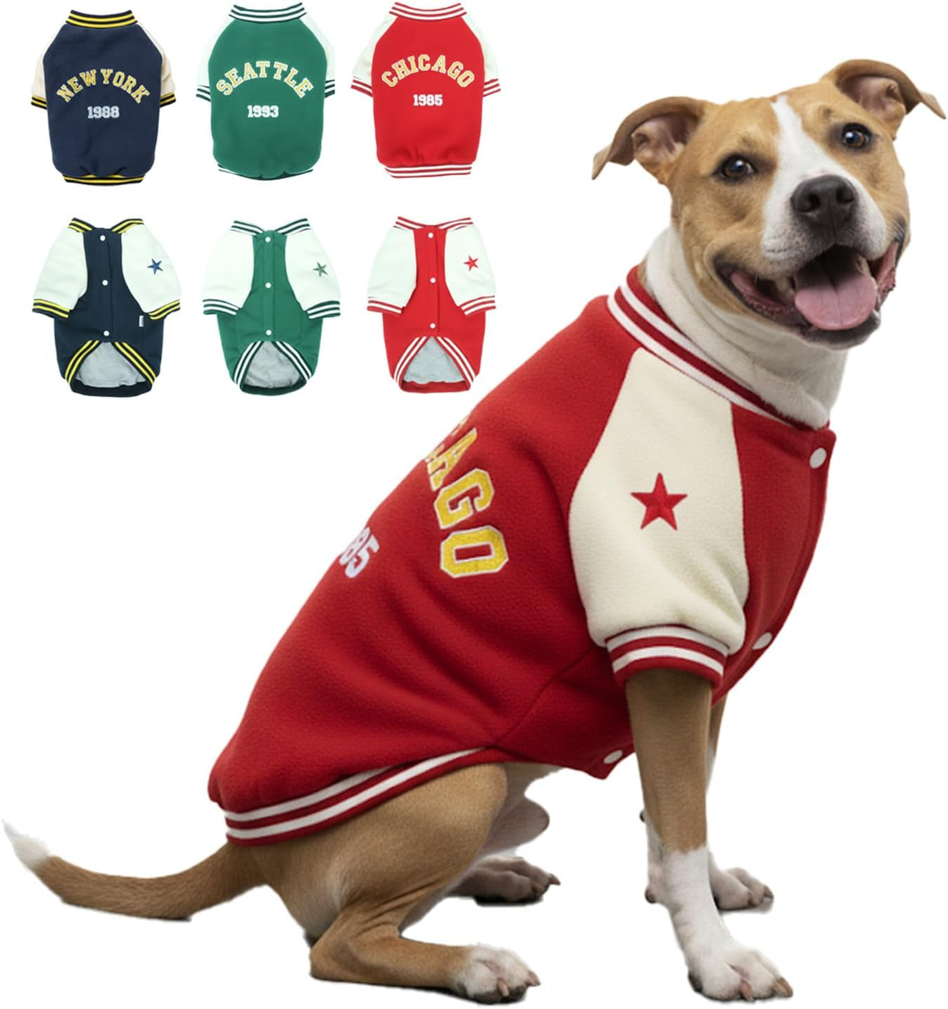Warm Dog Varsity Jacket