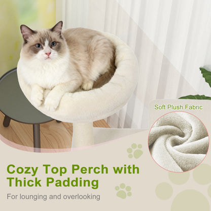 Tall Cat Tree