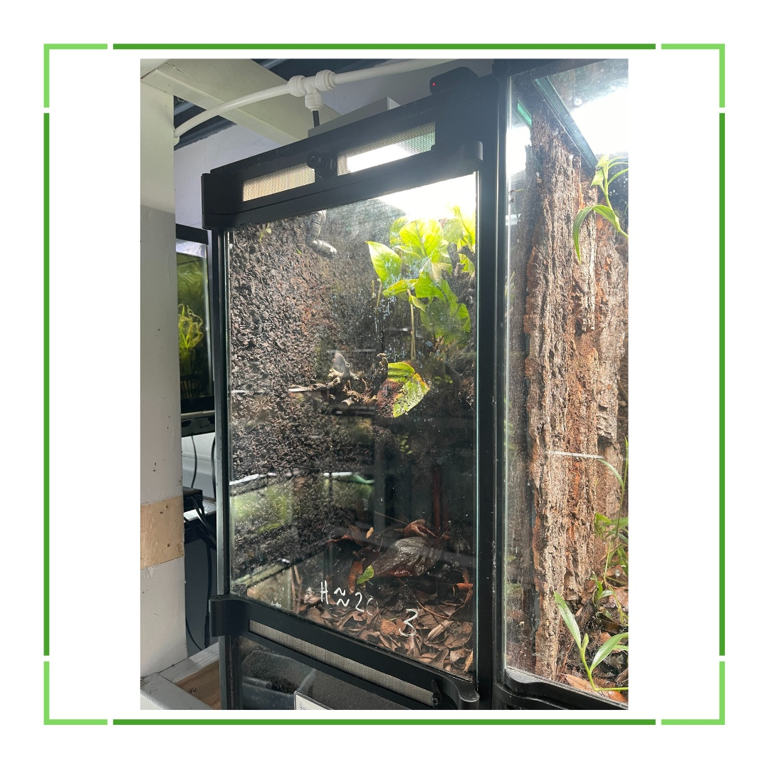 Aquarium Conversion Kit