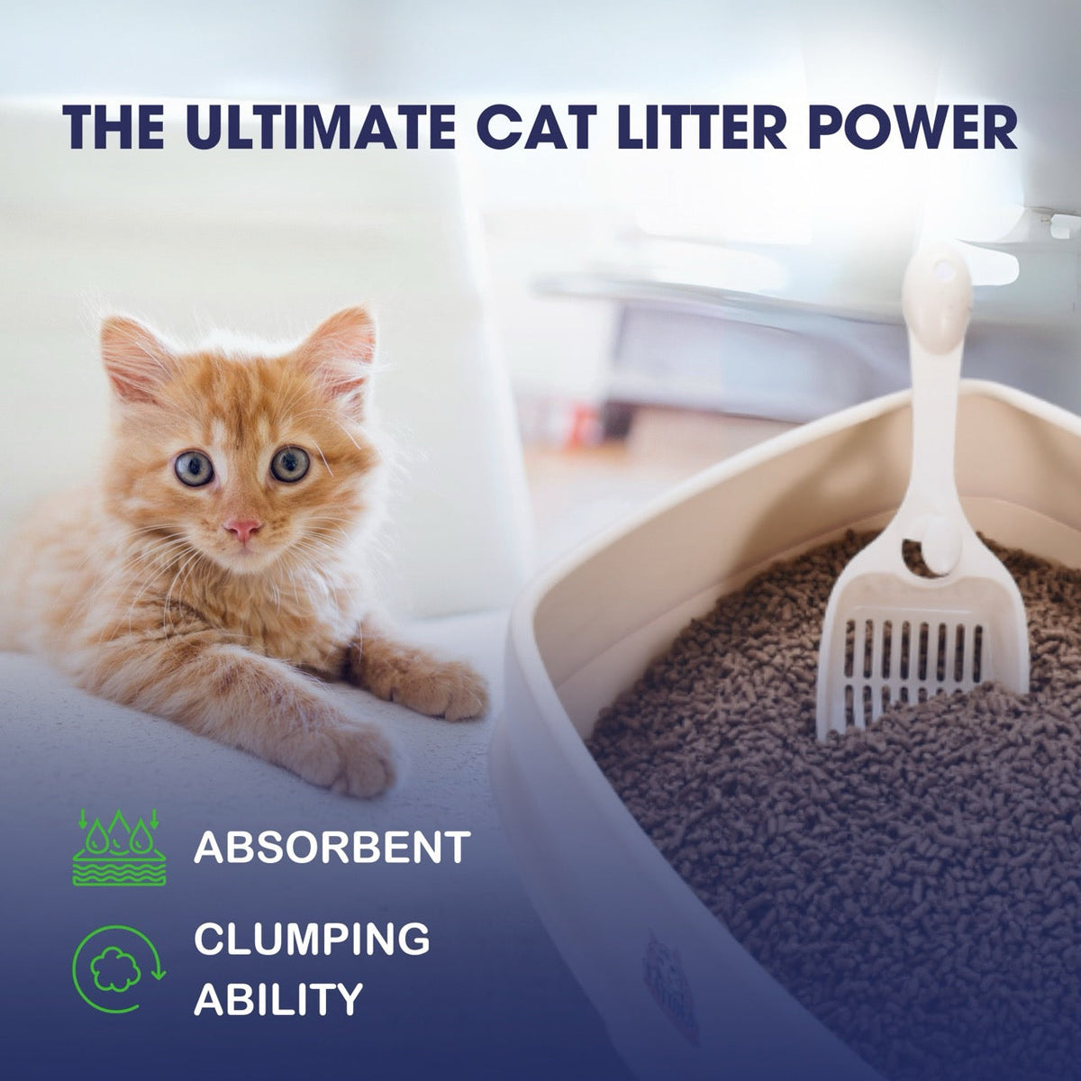 Natural Cat Litter