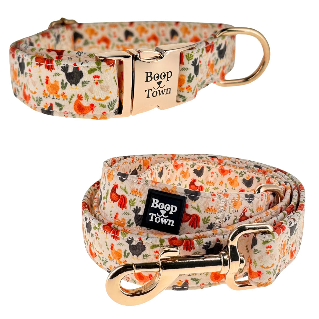 Dog Collar and Leash Set