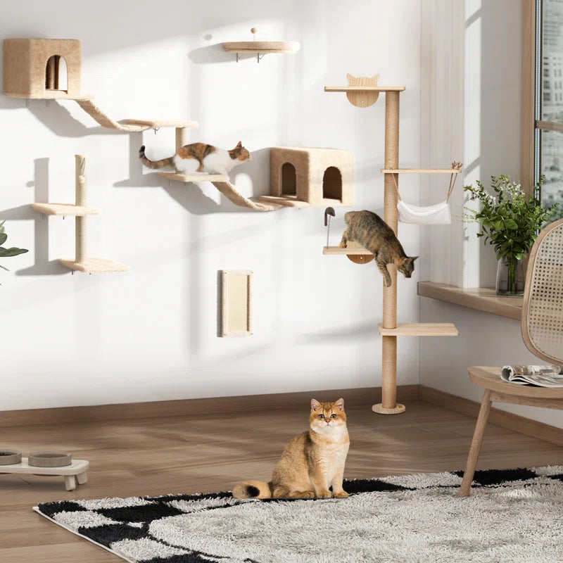 Cat's Climbing Tower