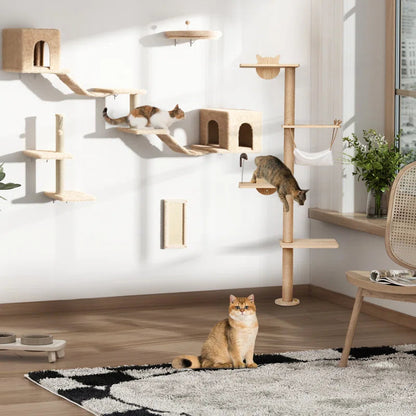 Cat's Climbing Tower