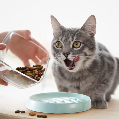 Cat Slow Feeder Bowl
