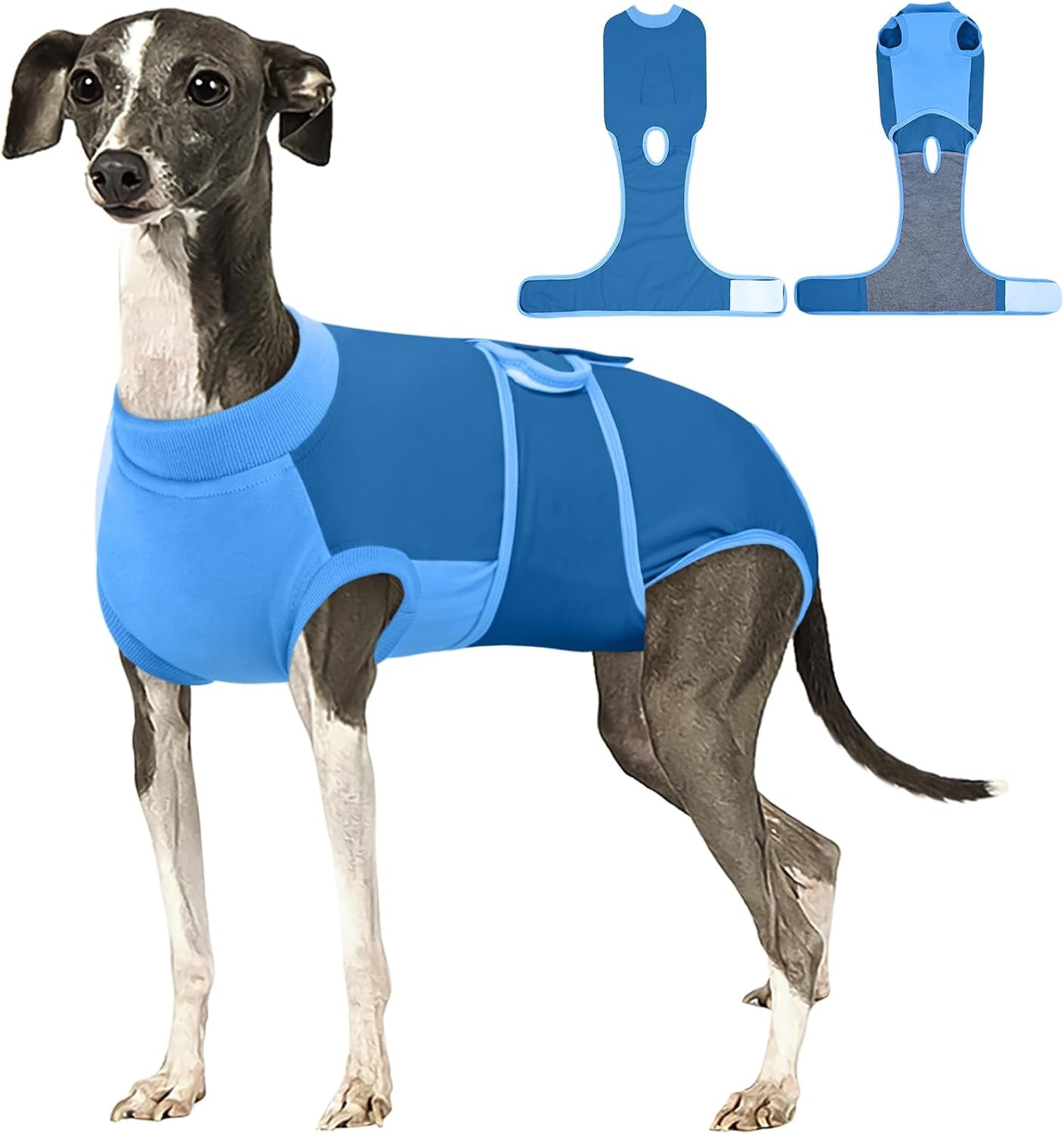 Female Dog Recovery Suit — Post-Spay & Surgery Coverage, Soft & Breathable (XS–2XL)