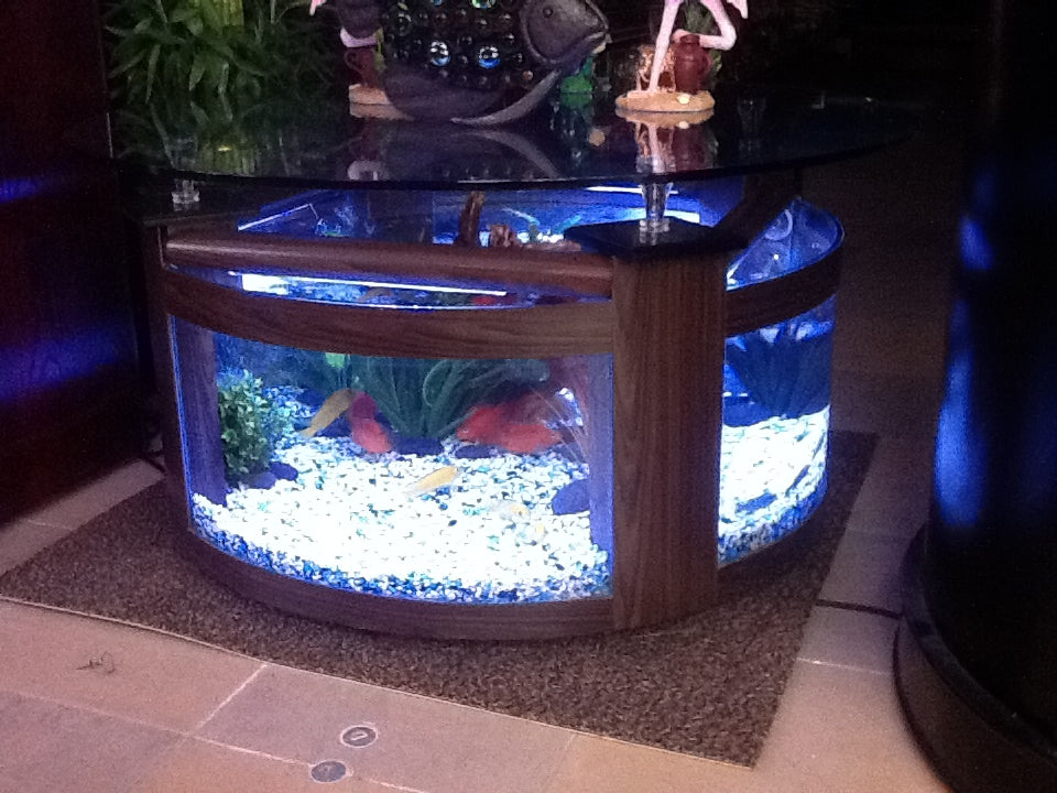 GLASS Round Circle Table Aquarium