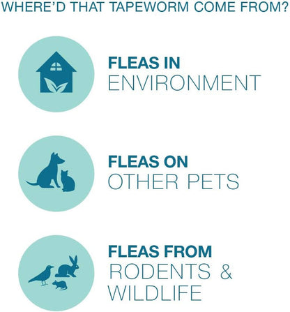 Tapeworm Dewormer for Dogs