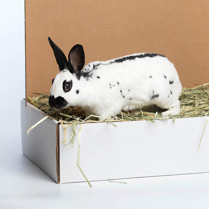Oat Hay