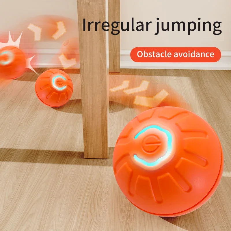 Dog Toy Ball