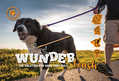 No-Pull Dog Leash