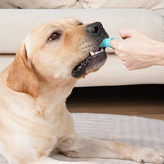 Soft Pet Finger Toothbrush