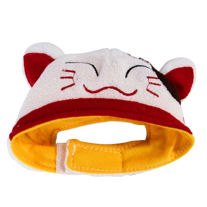 Funny Pet Costume