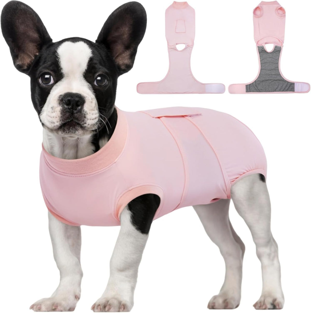 Female Dog Recovery Suit — Post-Spay & Surgery Coverage, Soft & Breathable (XS–2XL)