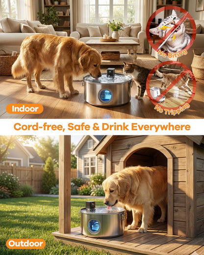 Wireless Water Fountain