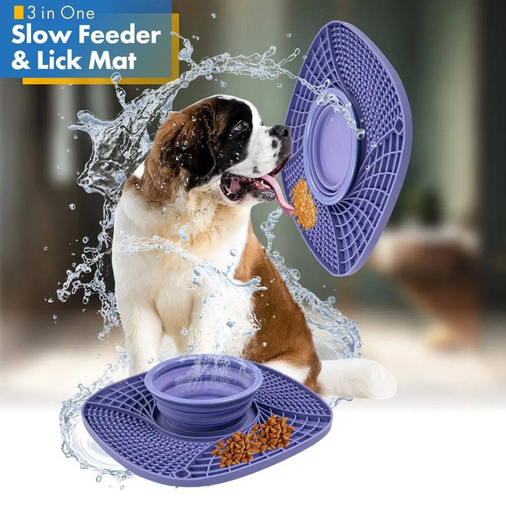 Pet  Bowl