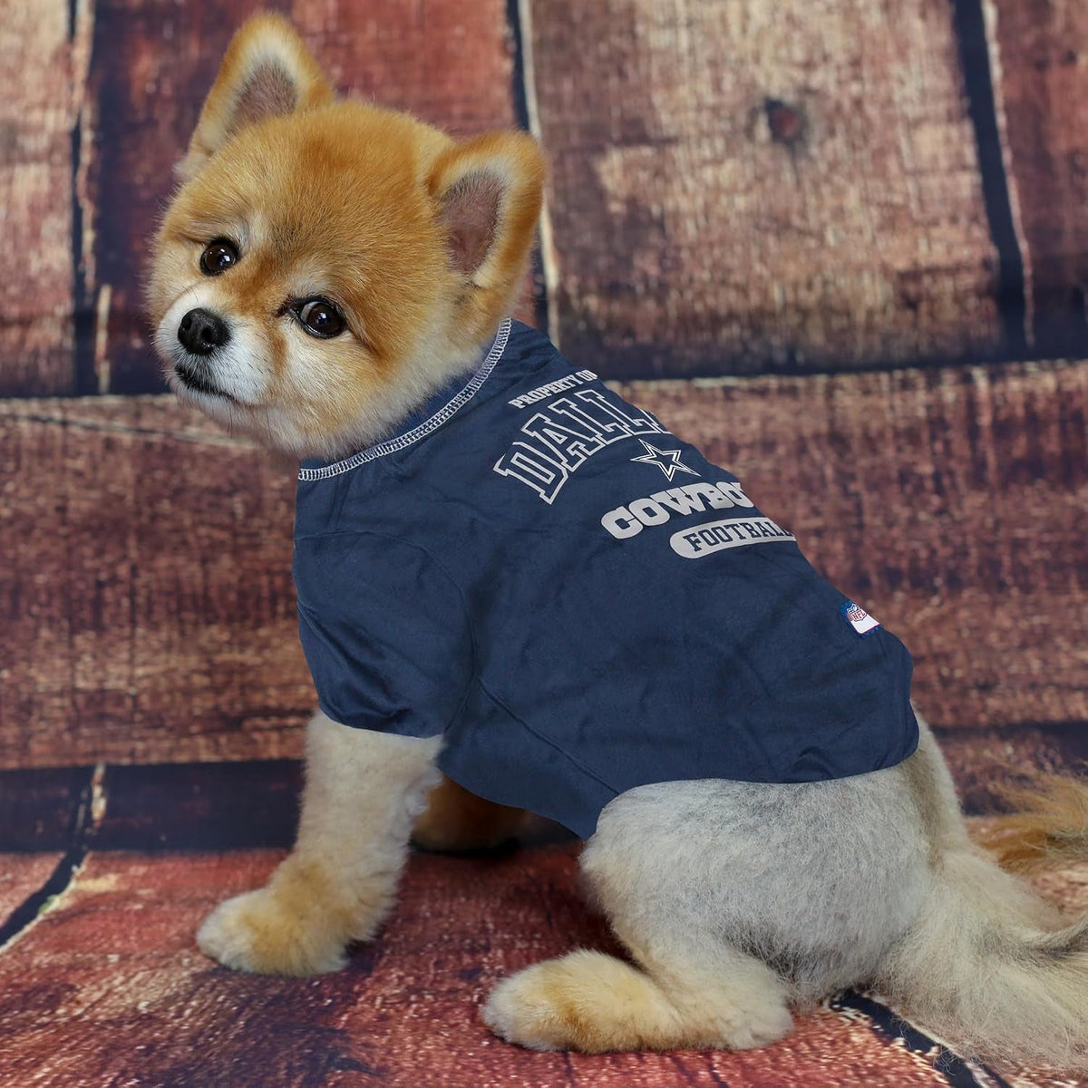 First NFL Dog T-Shirt