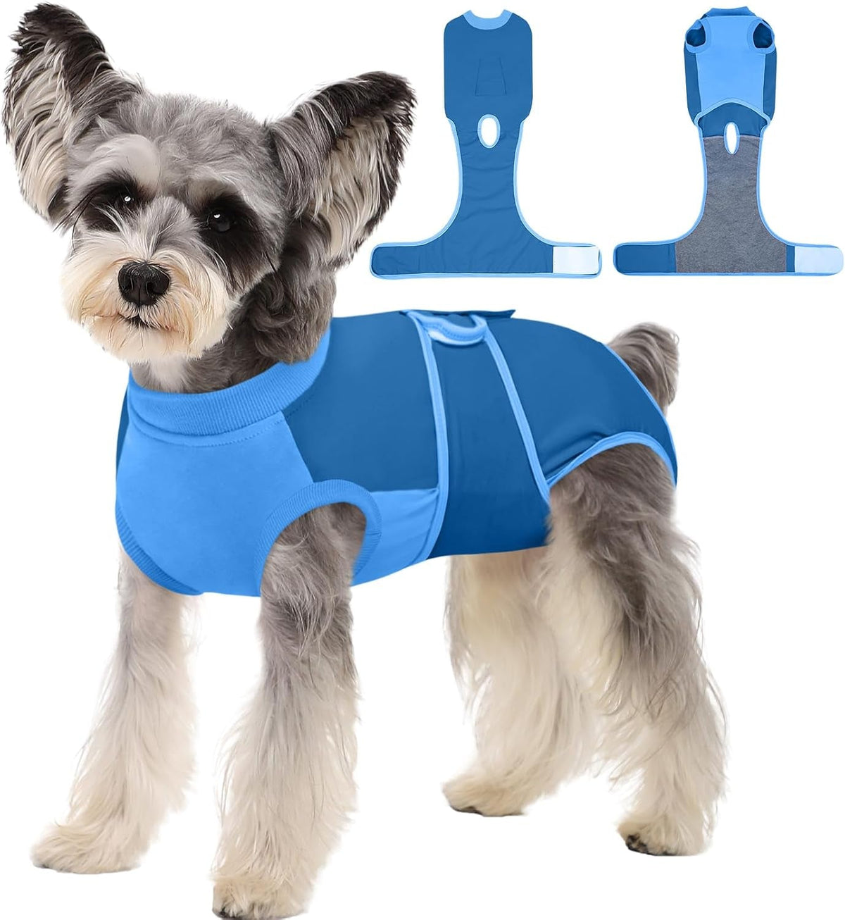 Female Dog Recovery Suit — Post-Spay & Surgery Coverage, Soft & Breathable (XS–2XL)
