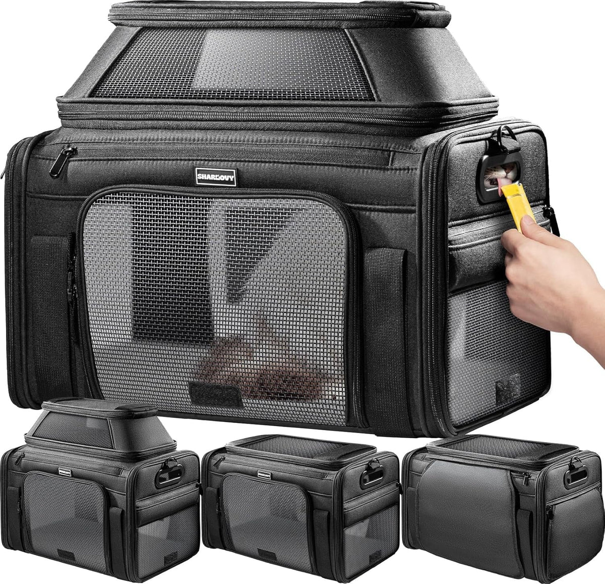 Expandable Pet Carrier