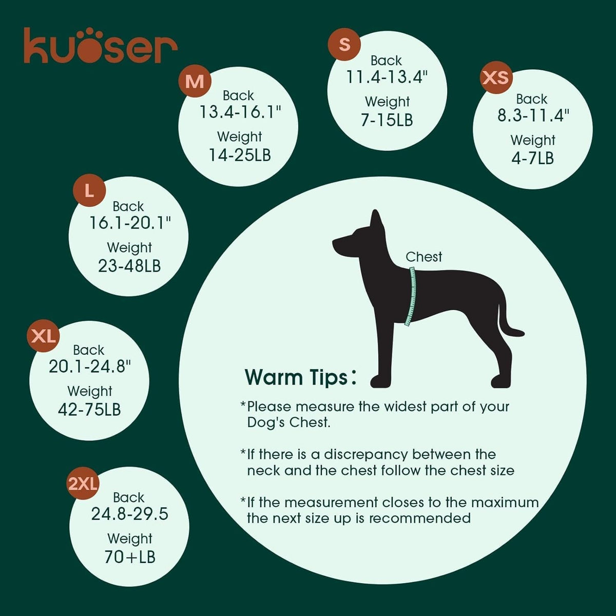 Dog Recovery Suit — Post-Surgery Coverage for Male & Female Dogs, Soft & Stretchy (XS–2XL)
