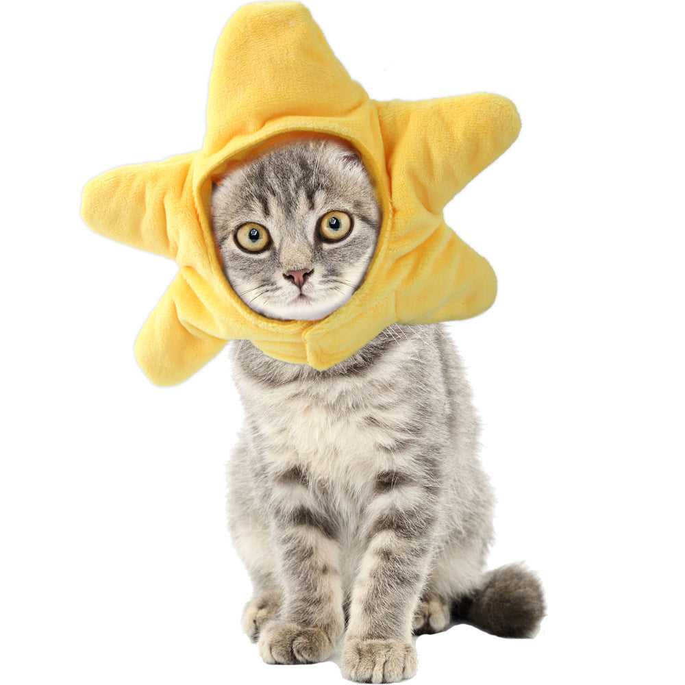 Funny Pet Costume