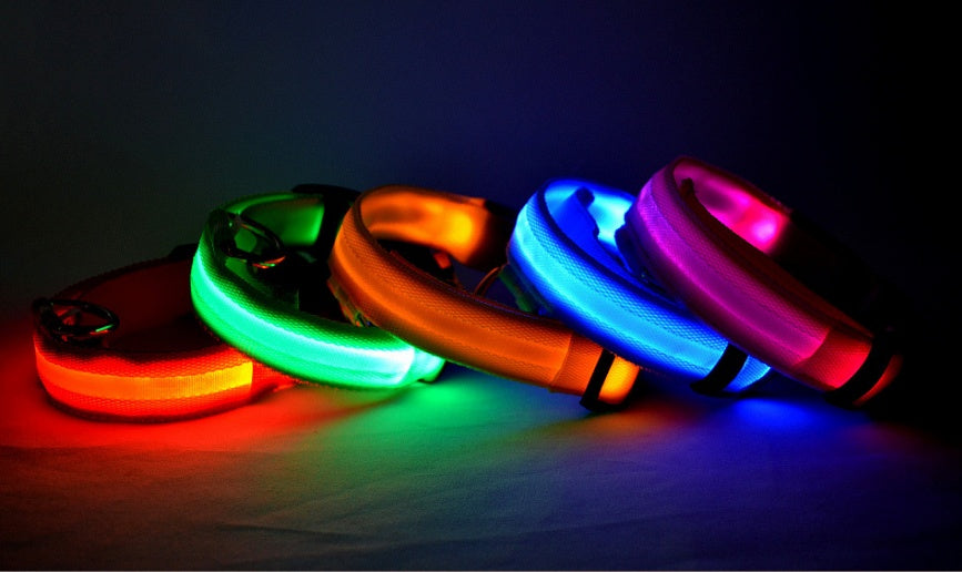 Glow in Dark Dog/Cat Leash
