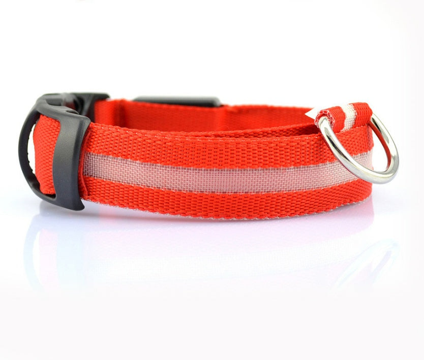Glow in Dark Dog/Cat Leash