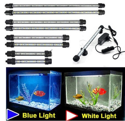 Floodlight Aquatic Lantern