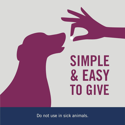 Dog Dewormer