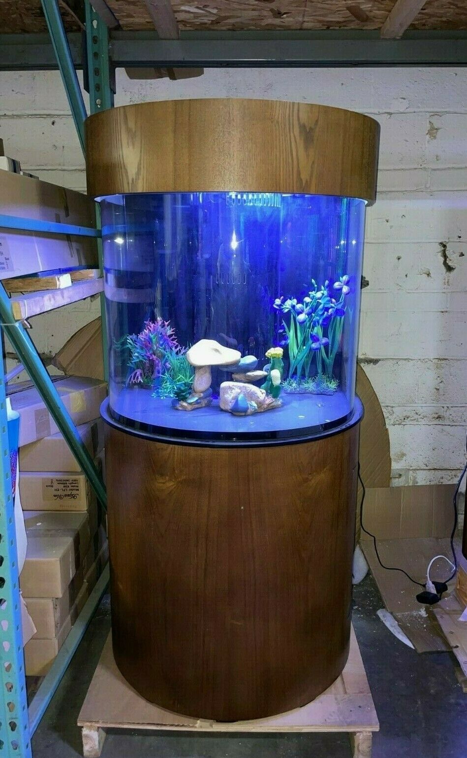 Half Round Aquarium with Stand