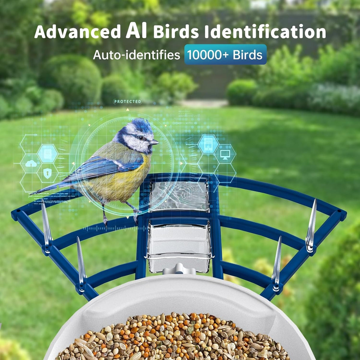 Bird Feeder Camera