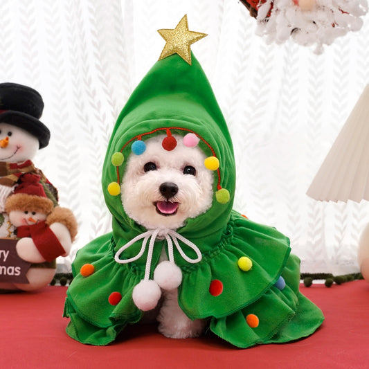Cat Christmas Outfit