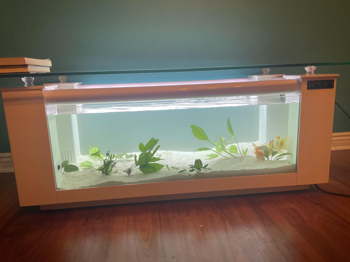 Aquarium Fish Tank