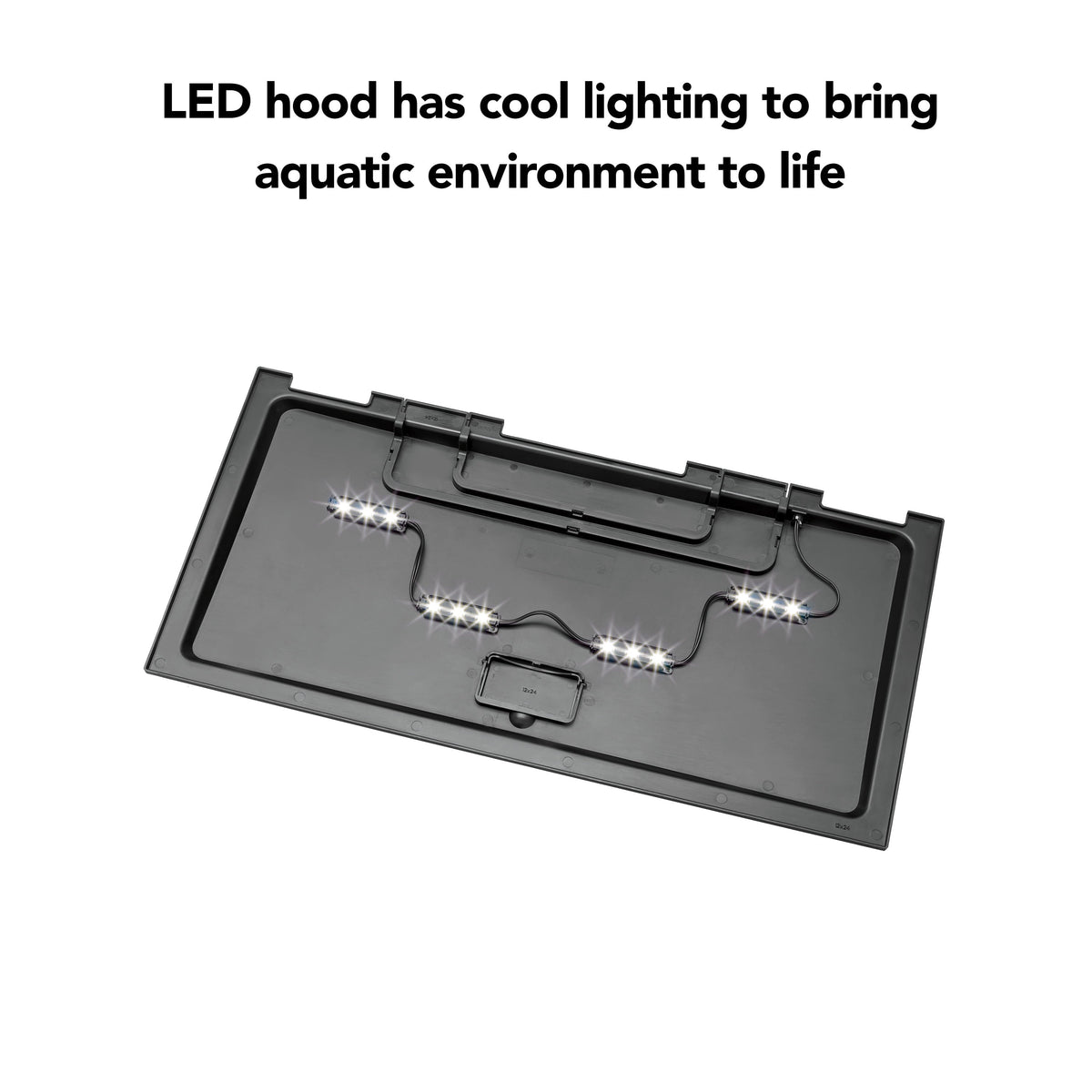Aquarium Starter Kit
