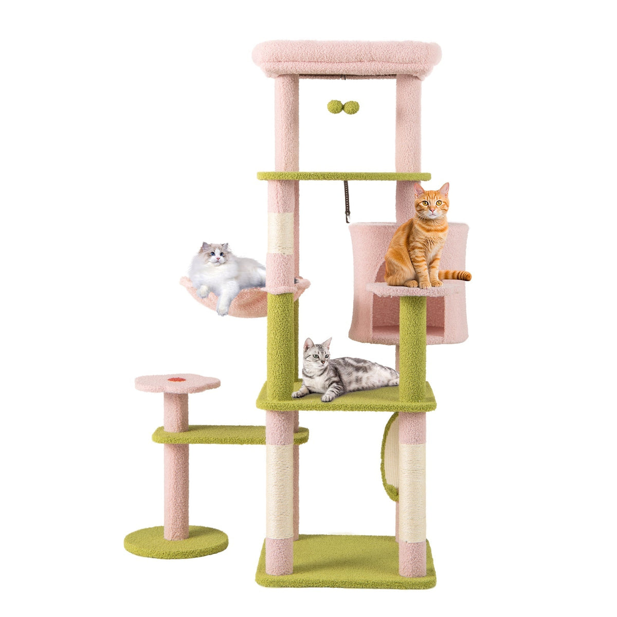 Multi-Level Cat Tree