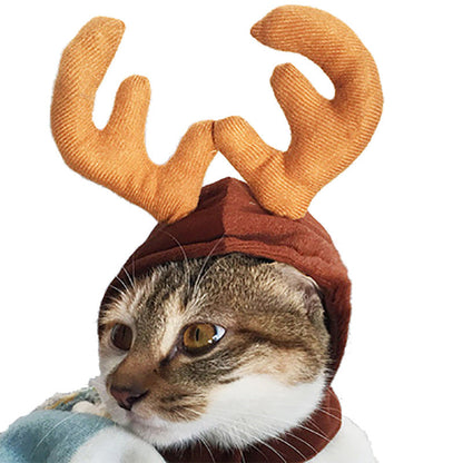 Funny Pet Costume