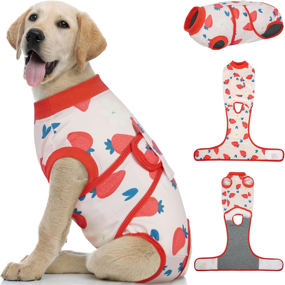 Female Dog Recovery Suit — Post-Spay & Surgery Coverage, Soft & Breathable (XS–2XL)