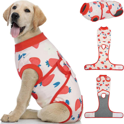 Female Dog Recovery Suit — Post-Spay & Surgery Coverage, Soft & Breathable (XS–2XL)