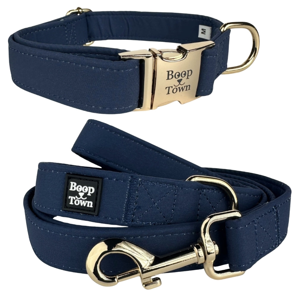 Dog Collar and Leash Set