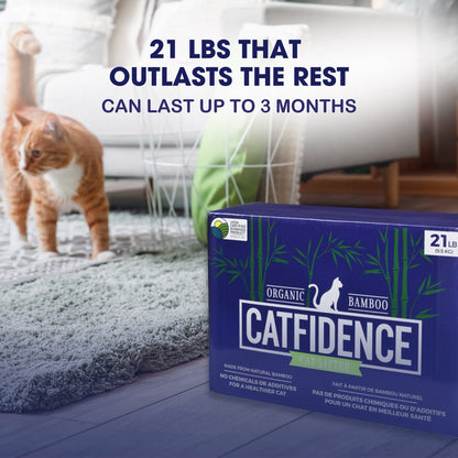 Natural Cat Litter